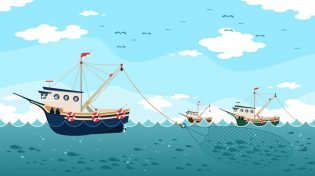 Overfishing facts article