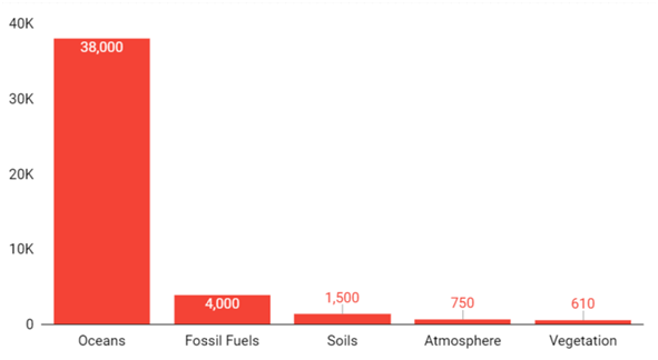 carbon sinks